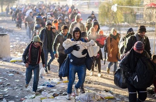 Миграционный кризис: мрачная картина международной безопасности в 2016 г. - ảnh 1